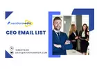 Get 100% Updated CEO Email List In USA-UK