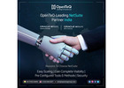 Discover NetSuite Consulting Services with OpenTeQ